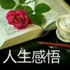 你猜的头像