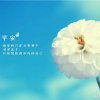 @葉子［暂退］的头像