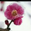 ༄༊࿆我心向阳（退）࿐的头像