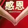 玉树金梅的头像