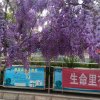 蓉蓉的头像