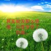 一诺悠然的头像