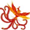 顺其自然的头像
