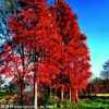 开心~~~的头像
