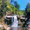 高山流水的头像
