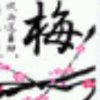 梅花爱雪-西北风文娱的头像