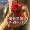 以琳的头像