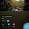 东哥的头像