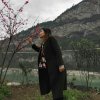 愉樹下的容顏的头像