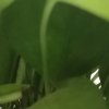 浮云的头像