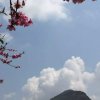 慧群的头像