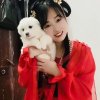阳光之恋的头像