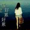 琴的头像