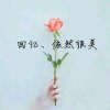 『艺海6』夏天的微风的头像