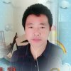 天金的头像