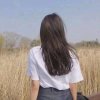 雨蝶的头像