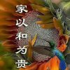 铜悦平的头像