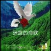 迷路的海欧的头像