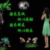 为爱等后的头像