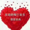 暖阳的头像