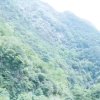 。的头像