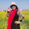 兰花草的头像