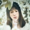 碧海蓝天的头像