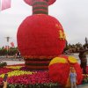 ADSZ(爱的使者)的头像