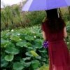 阳光的头像
