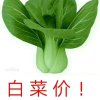 勿礼勿花！以卸载！的头像