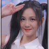 Winnie小燕子的头像