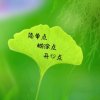 岁月静好退的头像