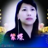 紫蝶的头像