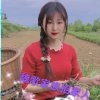 魏歌家族杏花朵朵的头像