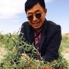 清风不离不弃的头像