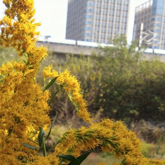 天在下雨我在想你(热度:21)由小川川相识有缘停唱翻唱，原唱歌手祁隆