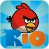 愤怒的小鸟的头像
