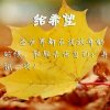 小桥流水人家的头像