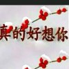 爱你一百年的头像