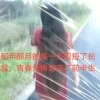 岁月静好的头像