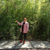 岁岁平安的头像