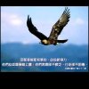 以便以谢的头像