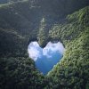 控制的头像