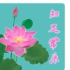 全家一生幸福的快乐爱听歌爱音乐的头像