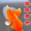 @莹的头像