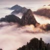 醒悟的头像
