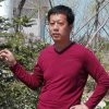 太阳的头像