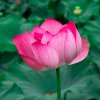 稻草人的头像