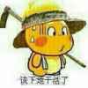 心田的头像