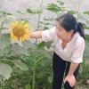 心平气和的头像